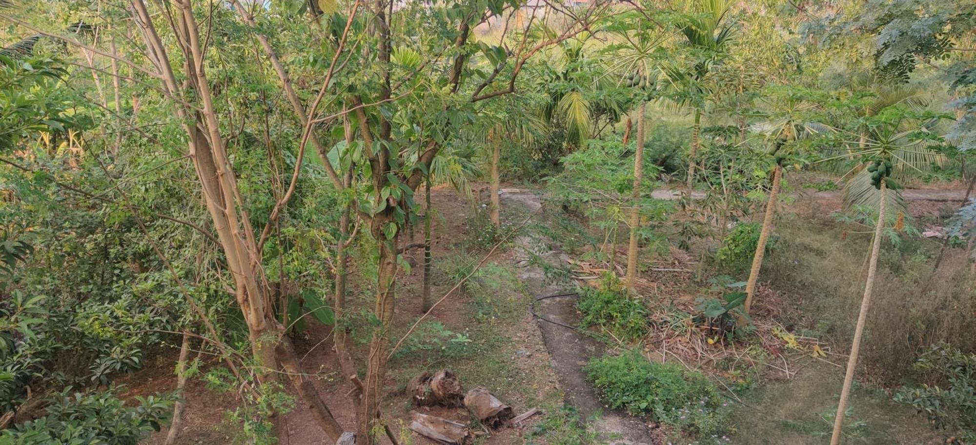 Gulmohar Cottages - Home Stay In Alībāg Exteriör bild